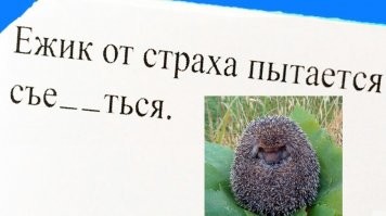 У меня тоже всё съёжилось...