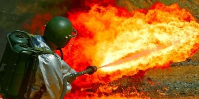 Тараканье государство за кухонным шкафом