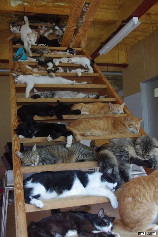 Доброе утро