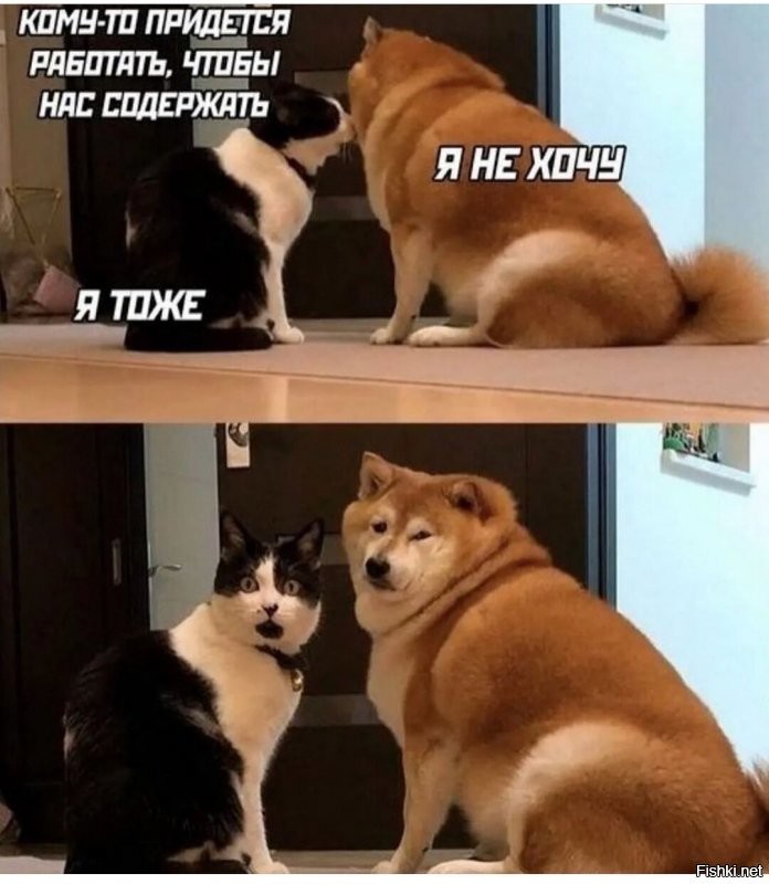 Солянка от 13.01.2022