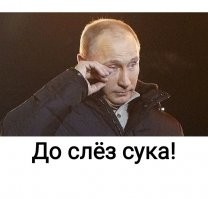 Вместо клеток с решетками — пуленепробиваемые «аквариумы»