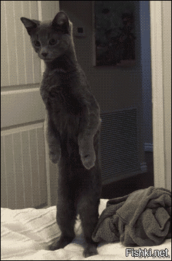 Солянка от 13.01.2022