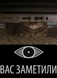 25 теорий заговора, которые на поверку оказались правдой