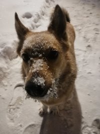 Свои пять копеек вставлю