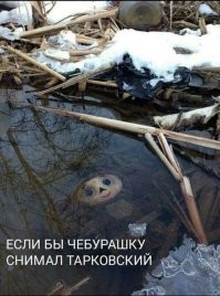 "Зеркало" Тарковского и как его идею объяснила обычная уборщица