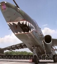 Грачик и Котик