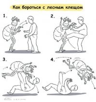 Не забываем основные приемы. Готовимся к сезону заранее!