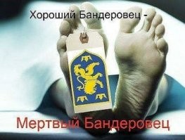 Куда только СБУ смотрит...слушают музыку на русском языке, да ещё и веселиться!!! Скоты!!!