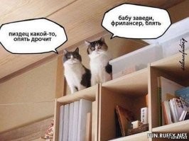 Мужик на «Тесле» попал в пробку и решил посмотреть порно