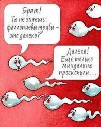 Известные люди, которых мало кто видел молодыми