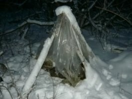 Напомнило.