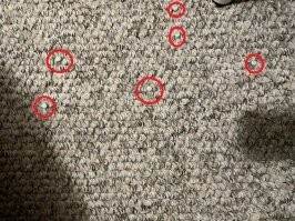 Примеры идеальной маскировки