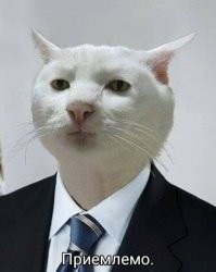 в данном случае минусов