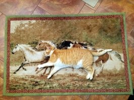 Ну для тыгыдым подковы совсем не обязательны...