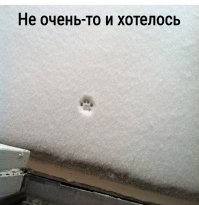 "Искупайся в сугробе": новый тренд жителей Сахалина