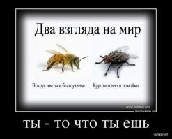 Алкопост на вечер этой пятницы