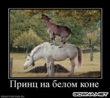 Алкопост на вечер этой пятницы