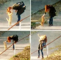 Ты попалась, кожаная!