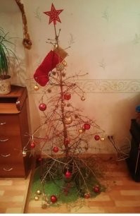 Главная ёлка Ростова-на-Дону красиво намекнула на завершение праздников