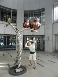 Подборка комичных снимков