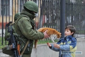 Кошки на войне