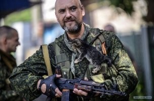 Кошки на войне