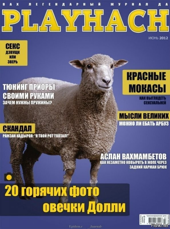 «Мы будем вас мочить, будем устраивать теракты!» - два бородача высказались о наболевшем