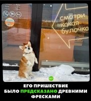 Это не булочка, это коржик.
