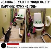 Только кот в шоке.