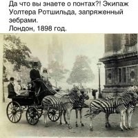 понты всегда стоили дороже денег