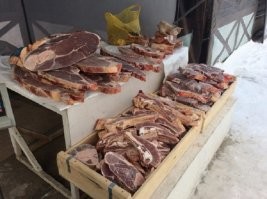 "Есть сырые мясо и рыбу"...
Мы тут этого тунца (на фото) отродясь не видовали.. Едим сырыми омуля, чира, муксуна, оленину и жеребятину..