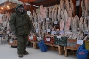 "Есть сырые мясо и рыбу"...
Мы тут этого тунца (на фото) отродясь не видовали.. Едим сырыми омуля, чира, муксуна, оленину и жеребятину..
