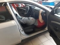 так то это "мохнатка" - РЕНО!