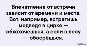 Неожиданная встреча с медведем в лесу