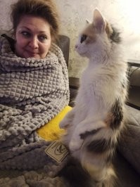 Котеек много не бывает