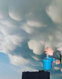 Ты ругаешь дождь
Возле хозпостройки
Своё стадо ждёшь
Для вечерней дойки
Только жди не жди
Практикантка Катя
Как пошли дожди
Так пастух и запил

пр-ев
Дои на небе тучи
Они даже лучше
У носа хвостом не мотают
Они не лягнут, не забодают
Дои на небе тучи

Скот мычит в тоске
Грустно хвост свисает
На корню в соске
Молоко скисает
Практикантка ждёт
Дождь пузырит в пойле
Как сдавать зачёт
Без коровы в стойле?

Средь навозных круч
Мокнешь зря в полыни
Приглядись у туч
Ты увидишь вымя
Ты их подзови
Зря себя не мучай
И дои, дои
Дои на небе тучи
(Акакий Корнеев)