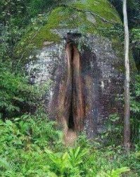 Вот тоже обманчивые фото: