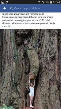 Вот тоже обманчивые фото: