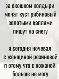 Котеек много не бывает