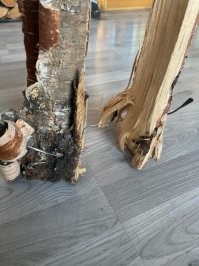 Чувак убил Буратино!!!!