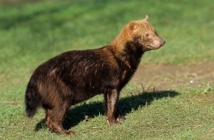 А фото в полный рос вставить- религия не позволяет?