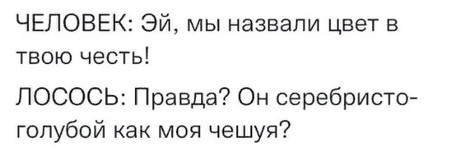 Растительный лосось выйдет на рынок через два года