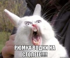 ТОЛЬКОООО!!!!