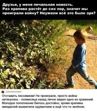 Намешалось