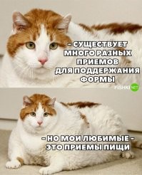 Намешалось