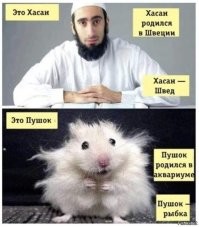Британская семья потратила £140 000 за два года на строительство собственного самолета