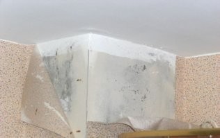 Домики возле воды