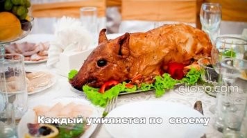 20+ чудесных фото со свинками, которые вызывают умиление
