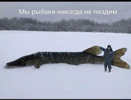 Невыдуманные мужские секреты, которые станут для женщин реальным откровением