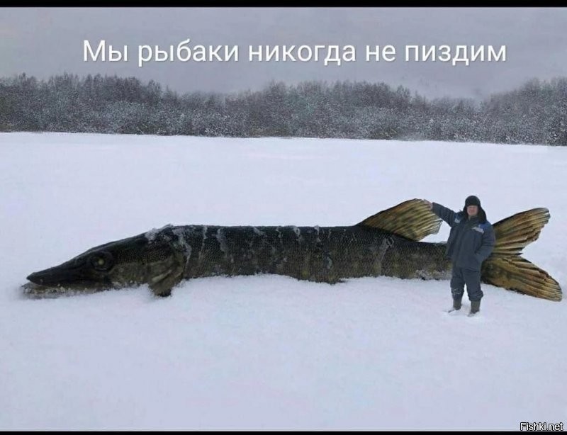 Невыдуманные мужские секреты, которые станут для женщин реальным откровением